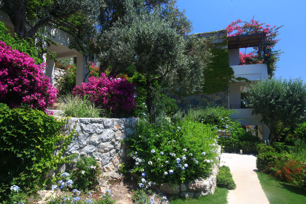 גולטורקבוקו Macakizi Hotel מראה חיצוני תמונה