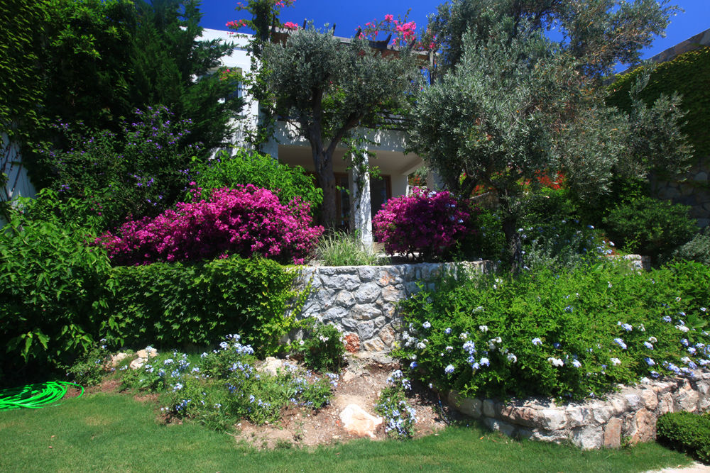 גולטורקבוקו Macakizi Hotel מראה חיצוני תמונה